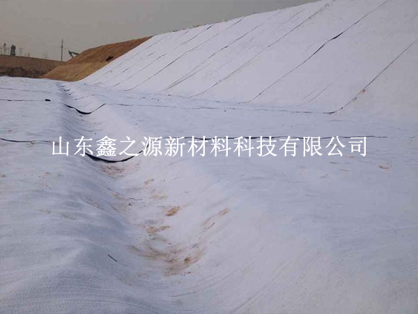 守護養(yǎng)殖基業(yè)，揭秘防滲膜防老化新策略